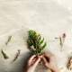 Ateliers floraux Ateliers floraux