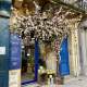 Votre boutique de fleurs à Bordeaux Votre boutique de fleurs à Bordeaux