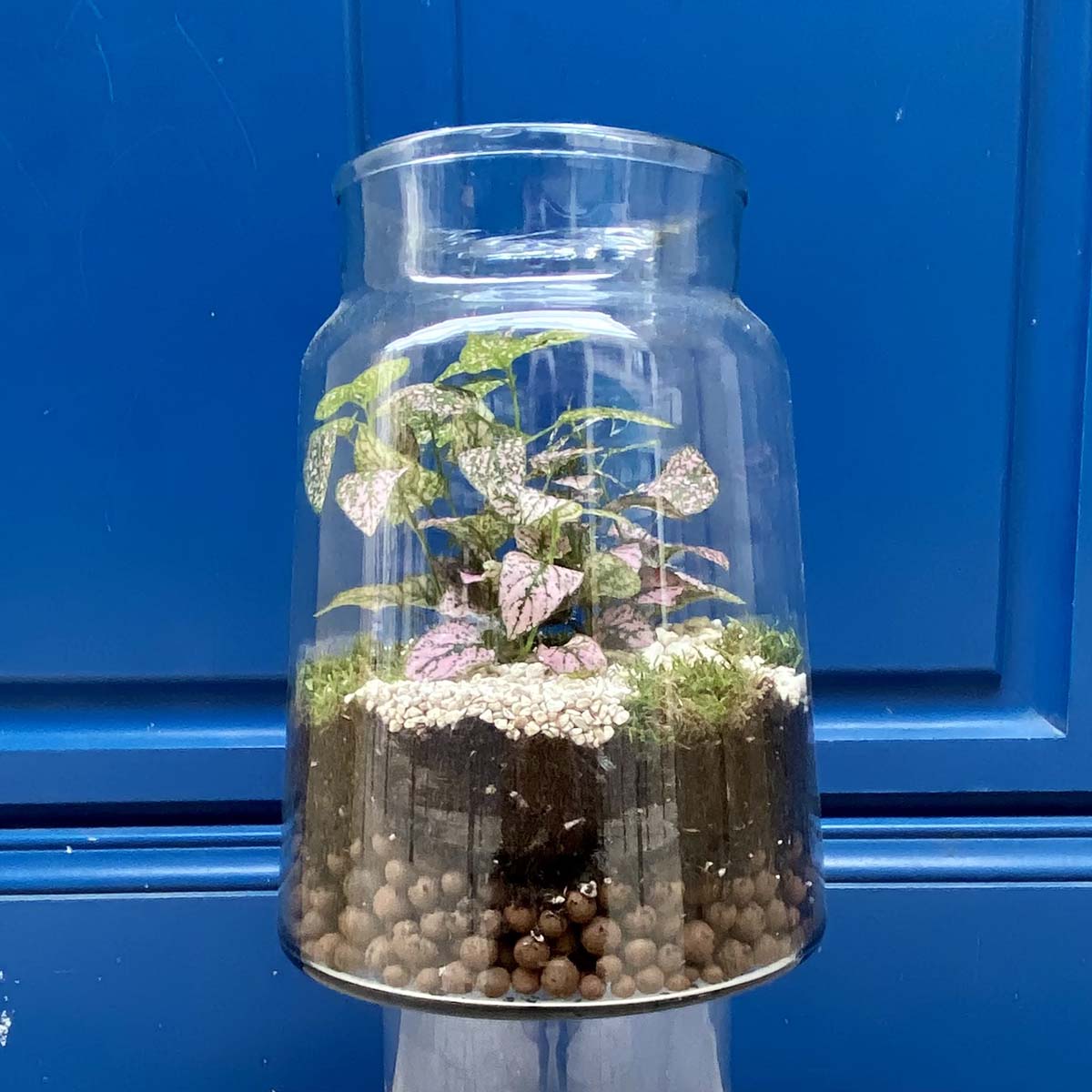 Atelier Terrarium